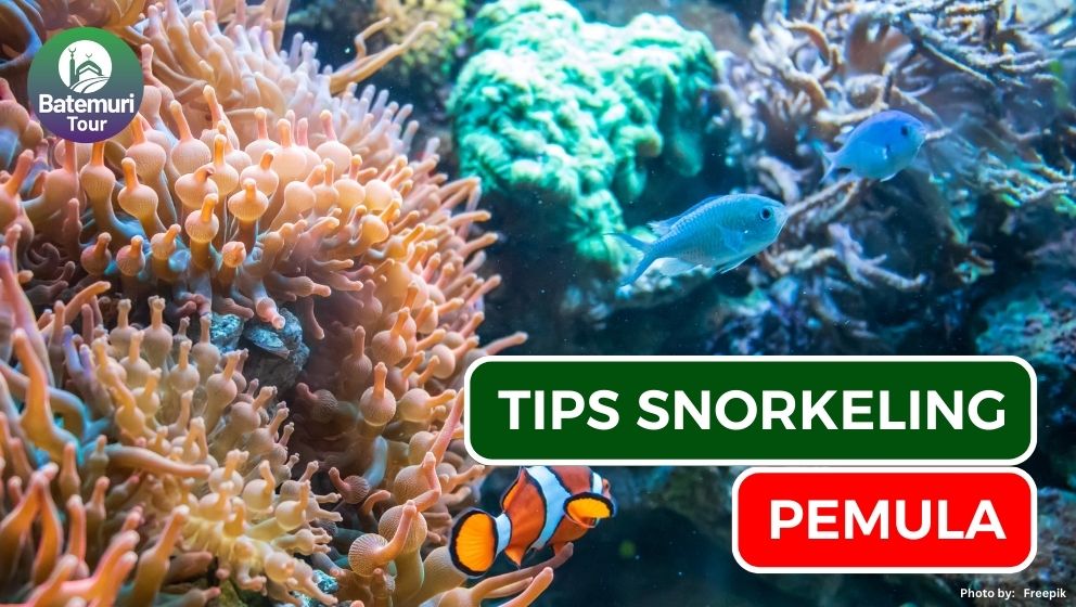 7 Tips Snorkeling bagi Pemula Agar Tetap Aman